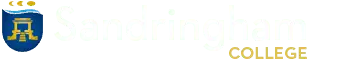 light logo
